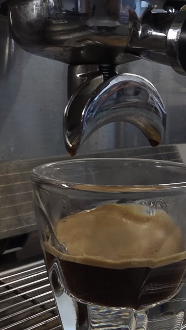 Best Specialty Coffee Subscription 2026: Top Picks