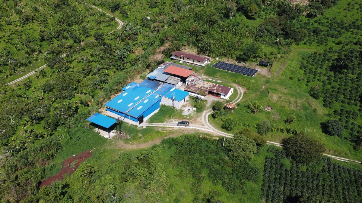 Aerial view of El Vergel Estate in Fresno, Tolima — blue-roofed processing sheds surrounded by forest and coffee plots