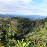 The ridgeline above Finca Los Nogales, Pitalito, Huila, Colombia