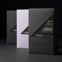 The Beyond discovery set - Ethiopia Bursa G1 Anaerobic, Bursa G1 Washed and Uganda Coffee Yards 96h, three 10oz boxes