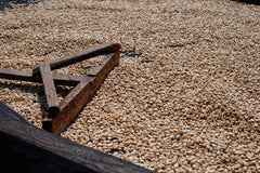 Uganda Coffee Yards · 48h Anaerobic Natural