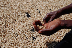 Uganda Coffee Yards · 48h Anaerobic Natural