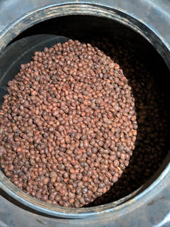Uganda Coffee Yards 96h extended natural tasting-note still life — roasted beans with guava, peach and magnolia petal on slate