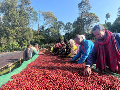 Ethiopia Dawencho Anaerobic Natural G1 tasting-note still life — roasted beans with papaya, strawberry and black tea leaves on slate