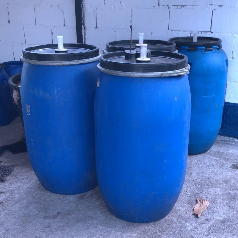 Sealed fermentation drums fitted with airlocks — anaerobic fermentation at El Vergel Estate, Tolima, Colombia