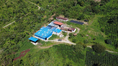 Aerial view of the beneficio and drying infrastructure at El Vergel Estate, Fresno, Tolima, Colombia