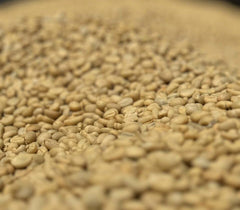 Ethiopia Bursa · Washed G1