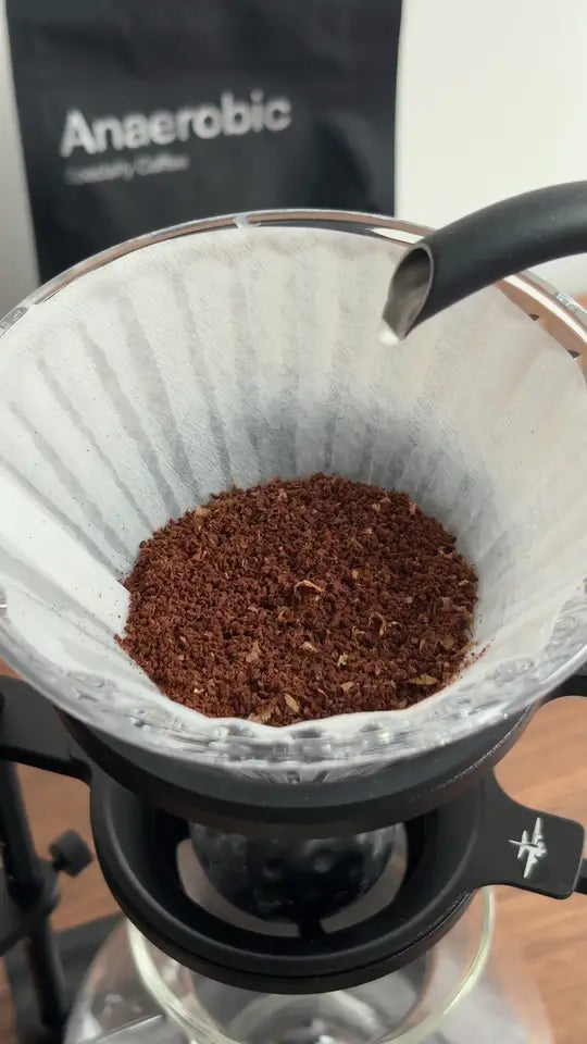 A customer's video of Nativo Nogales 96h
